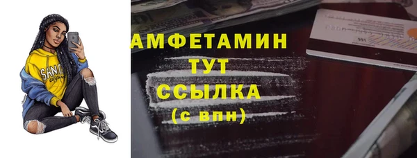 прущий лед Вяземский