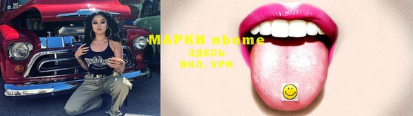прущий лед Вяземский
