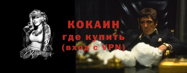 прущие грибы Горняк