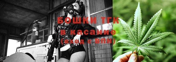 прущий лед Вяземский